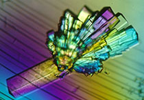 不朽情缘mg官网副总裁金晓玮博士等一行出席了在上海举办的中国科学技术大学校友会沙龙