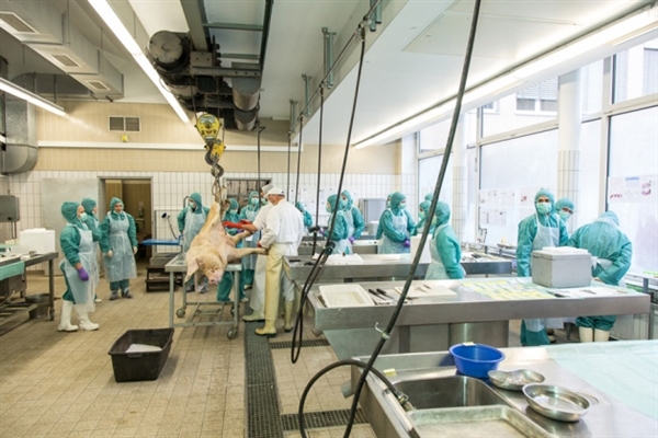 中国药企欧盟碰壁：质量问题还是标准差异？