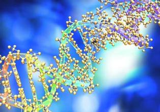 蛋白质组学不朽情缘mg官网