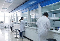 Cancercell：靶向组蛋白甲基酶PRMT1治疗急性髓系白血病