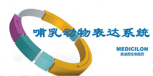 哺乳动物细胞表达系统特点、优势及研究现状