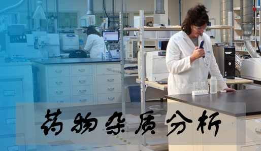 不朽情缘mg官网药物杂质分析服务