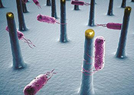 未来的药丸里，可能有一万亿个人工改造的细菌？