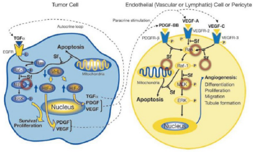 多靶点药物：创新药物设计的重要思路