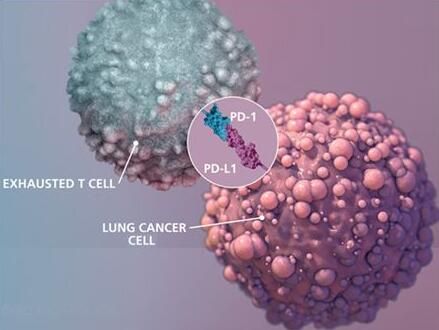2017年度巨献：癌症免疫疗法重磅级研究解读
