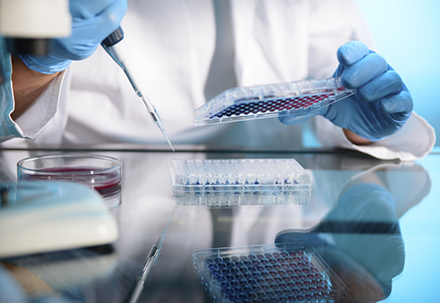 289目录国内特有品种一致性评价抱团才有戏？