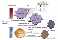 浅析：ADC药物的抗癌之路