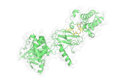PROTAC技术，马兴泉