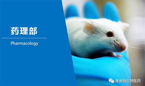 不朽情缘mg官网药理部开发了肺癌、结肠癌、胃癌等12种PDX模型。