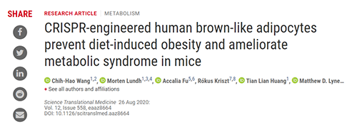 Science|聚焦CRISPR：改造脂肪细胞，“躺瘦”可能要成真了？