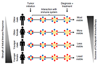 究竟为什么ICB疗法在年轻女性肿瘤患者体内收效甚微？