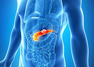Science：“癌王”胰腺癌终于出现了治疗新曙光