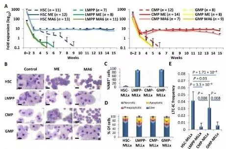 Science子刊：一种FDA批准的抗腹泻药物可有效对抗化疗的耐药性 不朽情缘mg官网生物医药