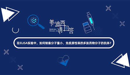 在ELISA实验，如何制备分子量小、免疫原性弱的多肽药物分子的抗体？