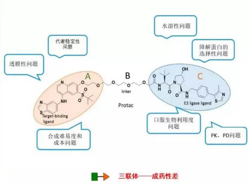 PROTAC分子量较大，溶解性较差.jpg