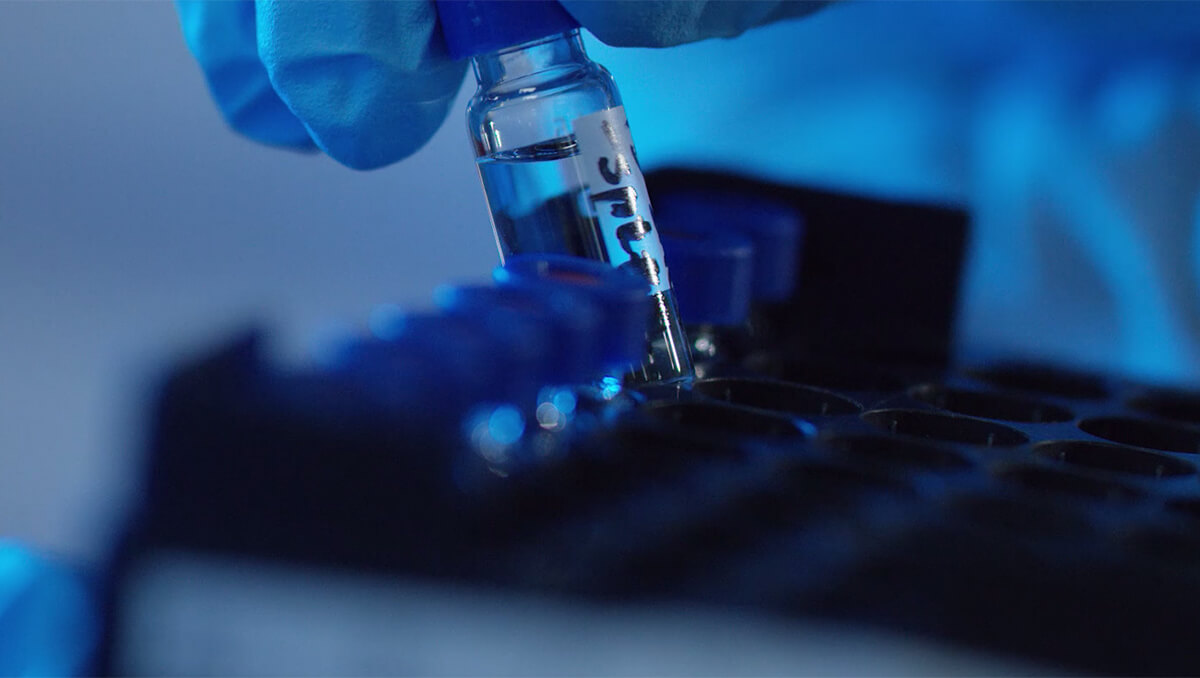 小分子药物发现：医学突破的力量