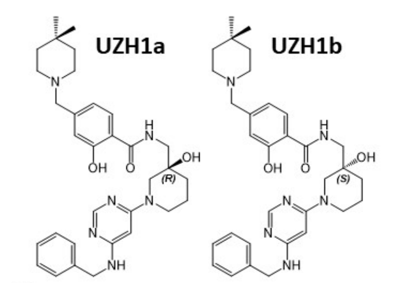 研究人员报告了一种具有细胞渗透性的选择性METTL3纳摩尔抑制剂UZH1a，作者感谢不朽情缘mg官网合成了UZH1a和UZH1b