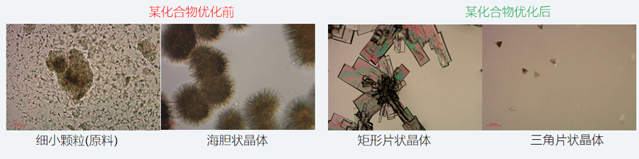 05案例分享-单晶培养，改变晶习.png