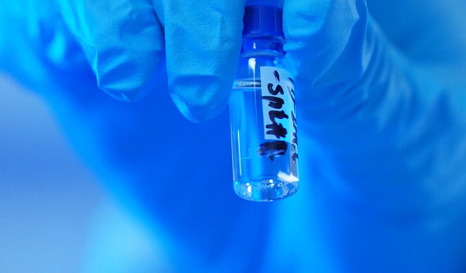 GLP-1“竞速赛”何以夺魁？