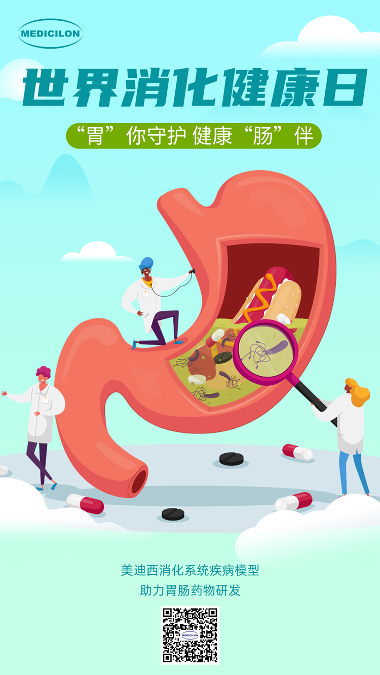 不朽情缘mg官网消化系统疾病模型助力胃肠药物研发.jpg