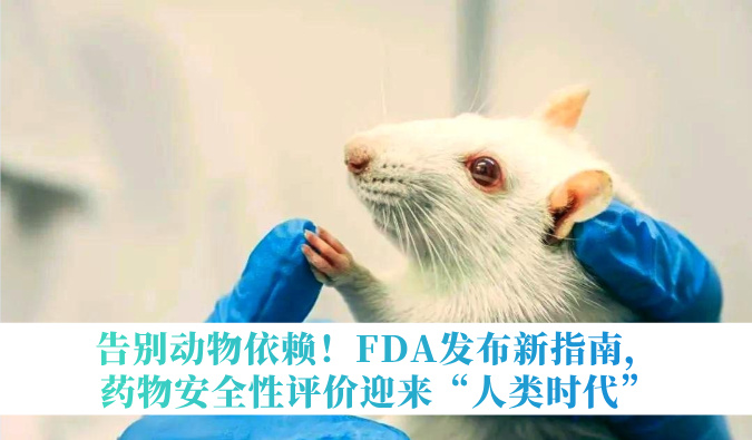 告别动物依赖！FDA发布新指南，药物安全性评价迎来“人类时代”